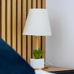דירה Vip ז'שוב