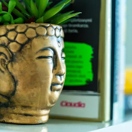 Vip Apartamento Rzeszów